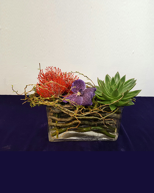 Tjflowers 0405