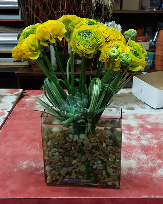  	Tjflowers 0103