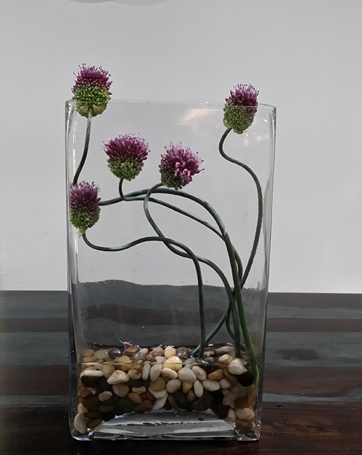  	Tjflowers 0105
