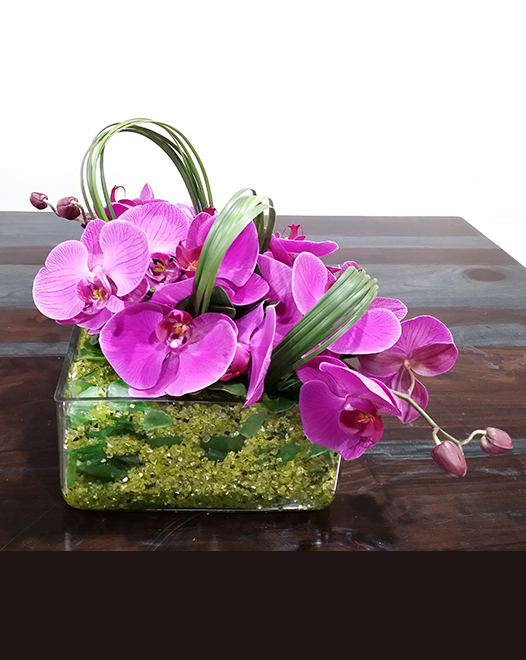  	Tjflowers 0106