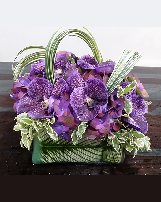  	Tjflowers 0108