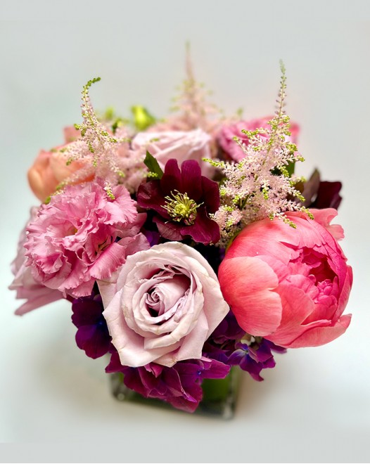  TJflowers_SpringFlower004