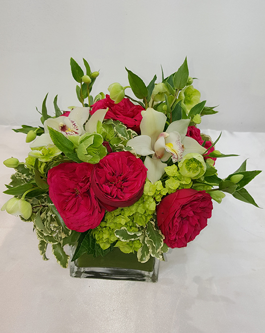 Tjflowers 0198