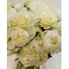 Tjflowers 0197