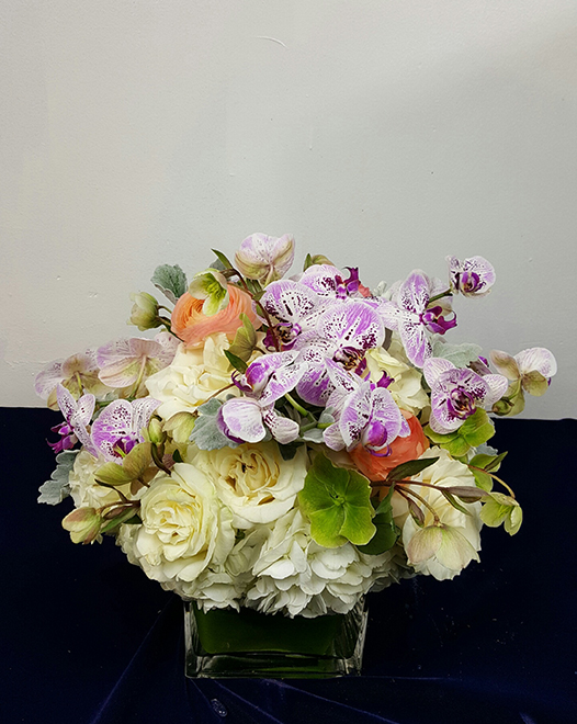 Tjflowers 0371