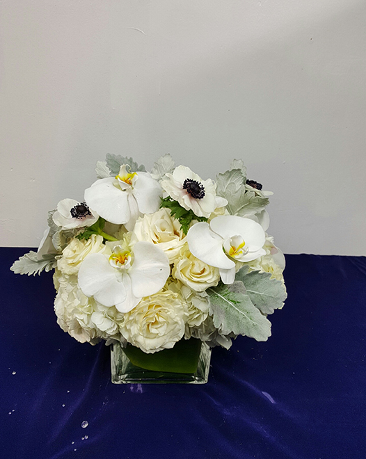 Tjflowers 0372