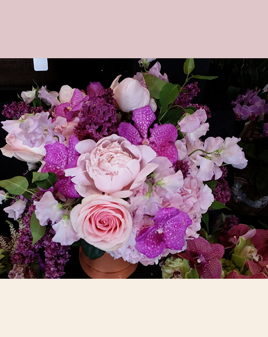 Tjflowers 0116