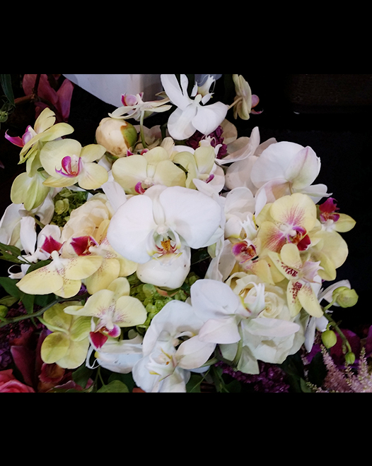 Tjflowers 0117