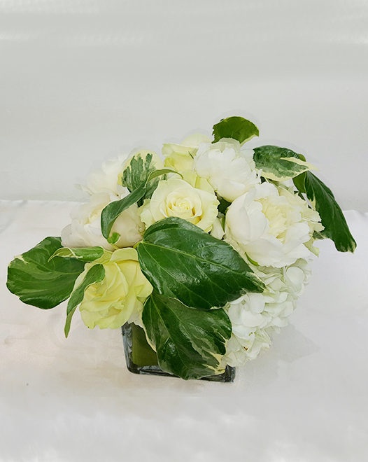 Tjflowers 0386