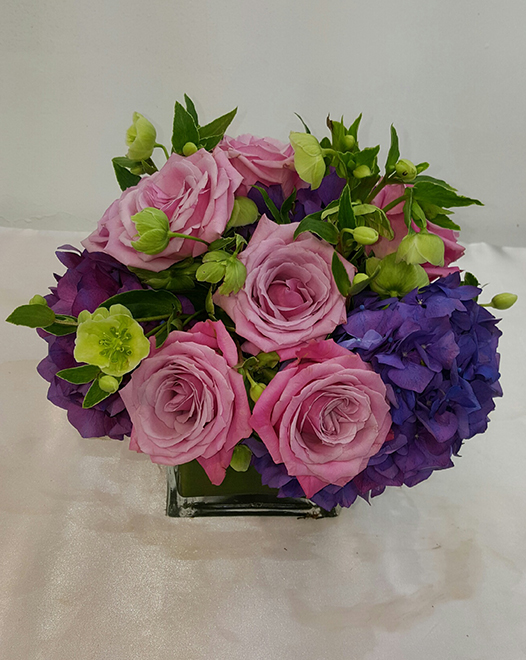 Tjflowers 0387
