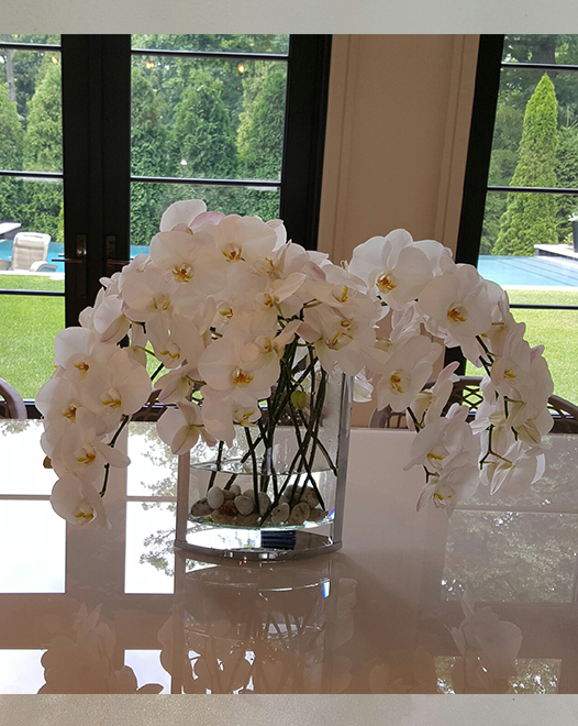 Tjflowers 0388
