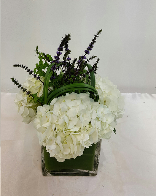 Tjflowers 0395