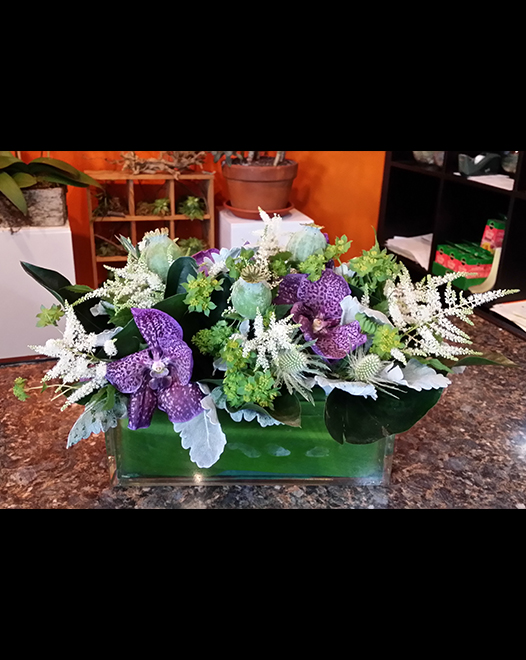 Tjflowers 0308