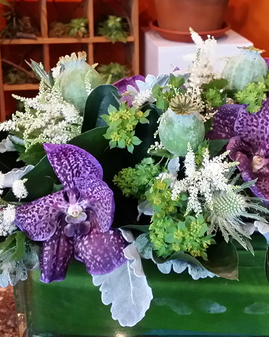 Tjflowers 0308