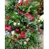 TJFLOWERS 0297