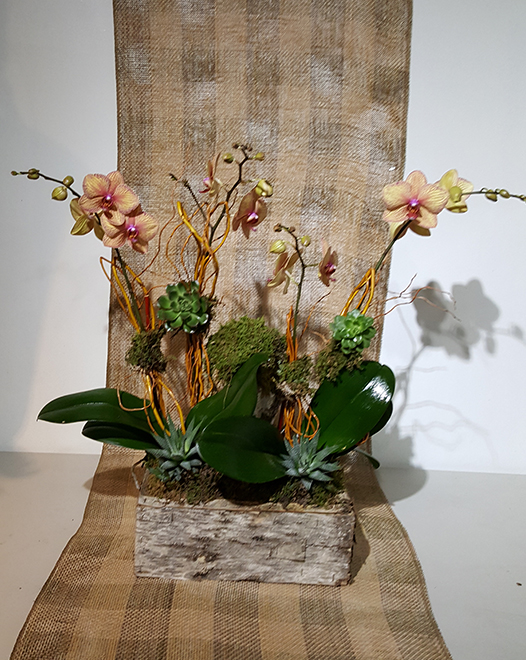 Tjflowers 0291