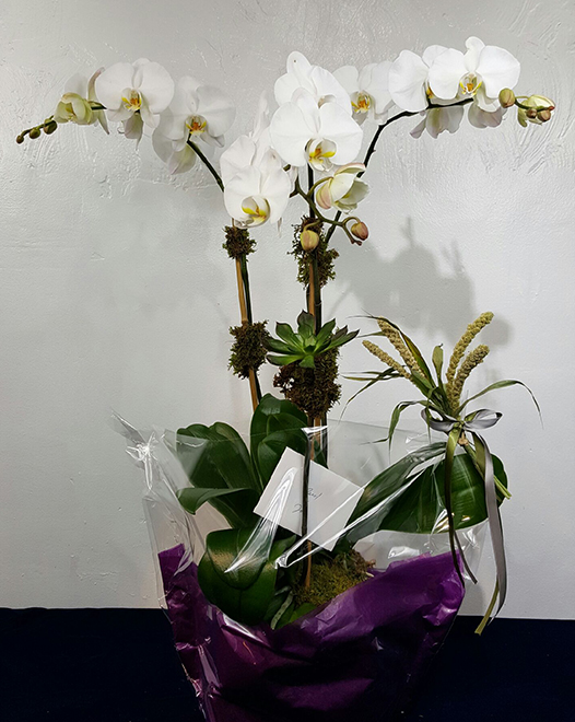 Tjflowers 0293