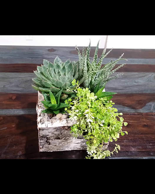 Tjflowers 0286