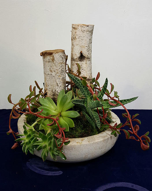 Tjflowers 0287