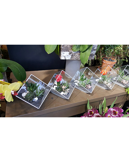 Tjflowers 0394