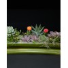 TJFlowers 0079