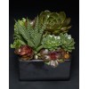 TJFlowers 0080