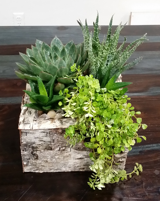 Tjflowers 0136