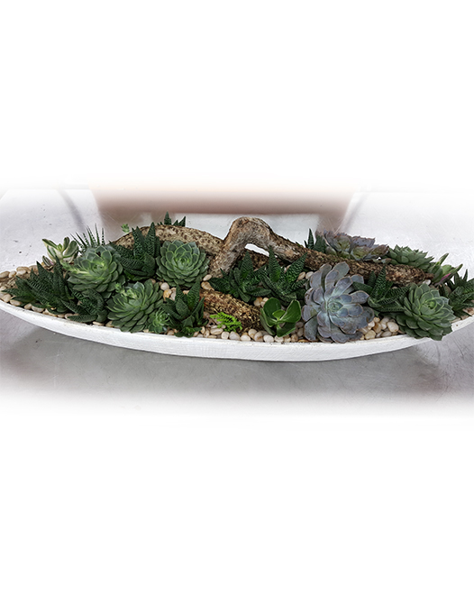 Tjflowers 0277