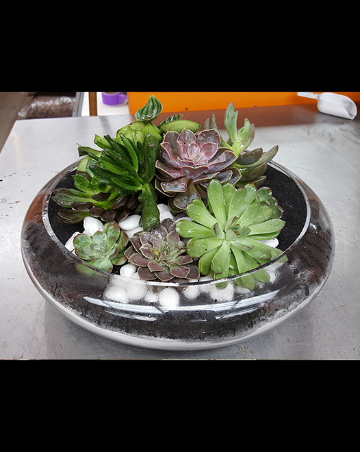 Tjflowers 0282