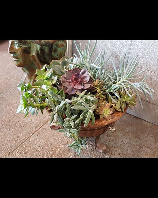 Tjflowers 0273