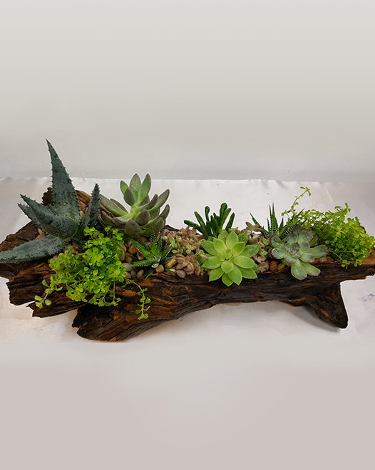 Tjflowers 0281