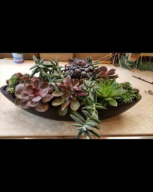 Tjflowers 0275