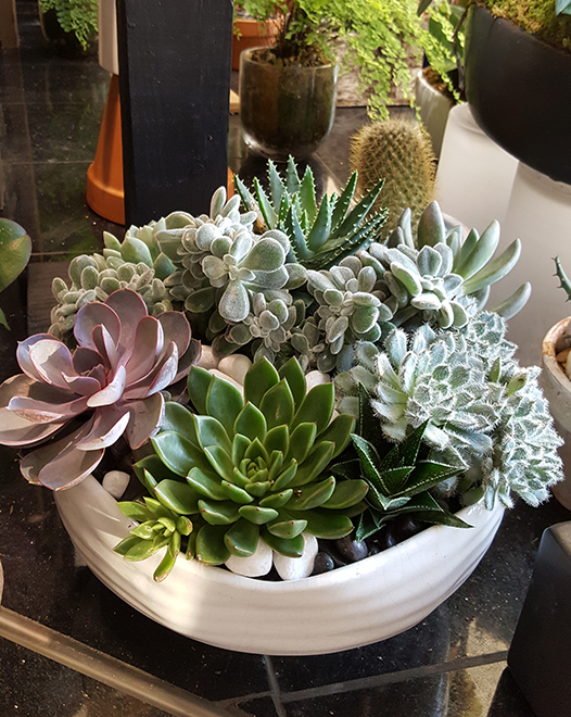 Tjflowers 0280