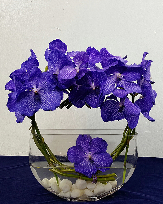 Tjflowers 0242