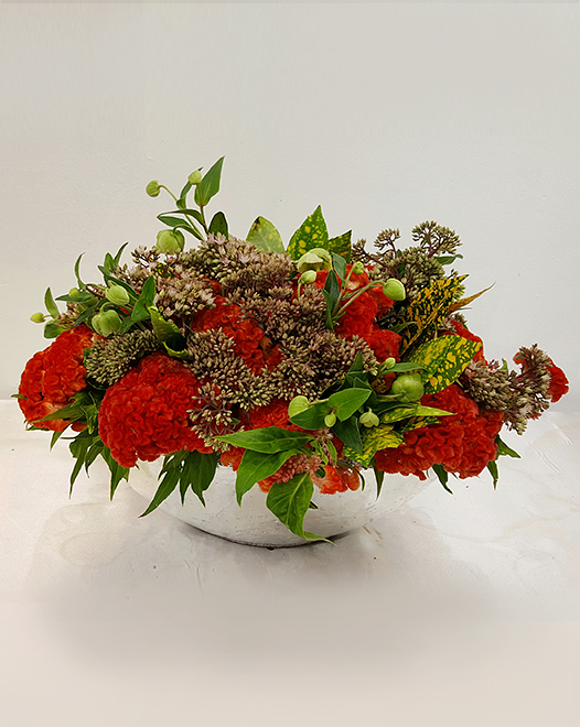 Tjflowers 0228