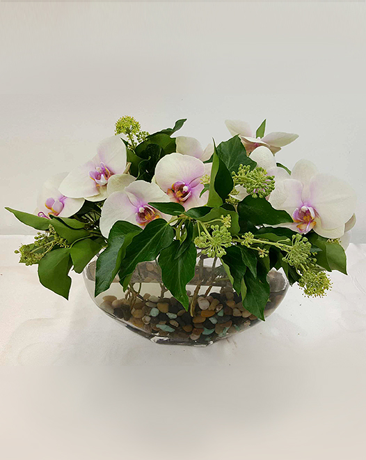 Tjflowers 0229