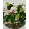 Tjflowers 0229
