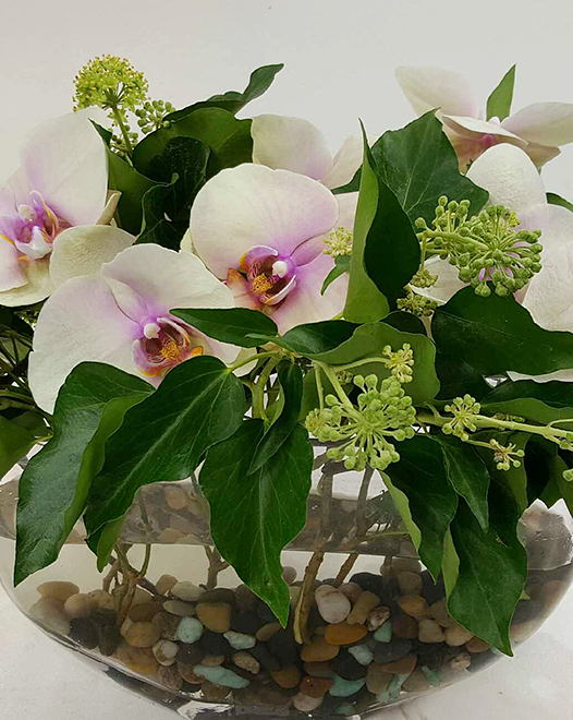 Tjflowers 0229