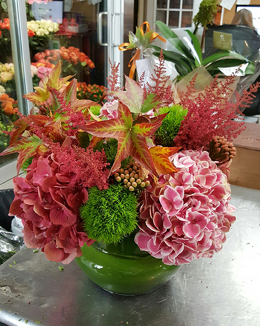Tjflowers 0239