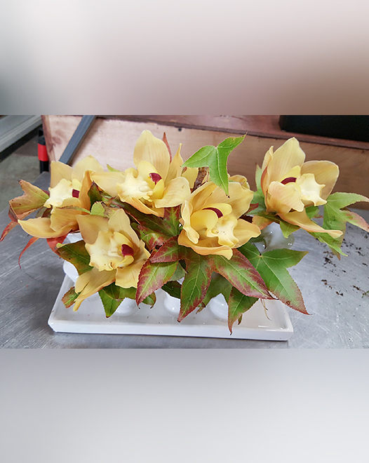 Tjflowers 0230