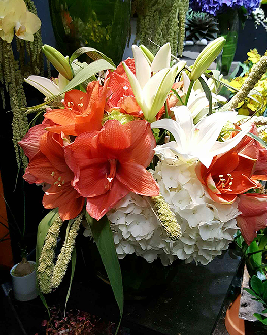 Tjflowers 0218