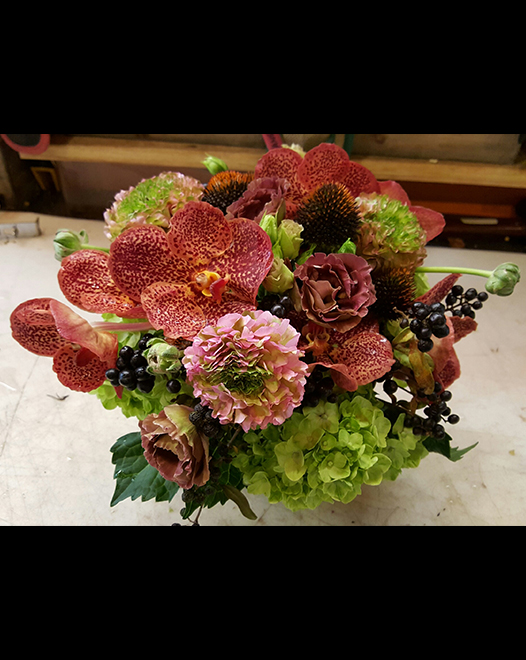 Tjflowers 0217