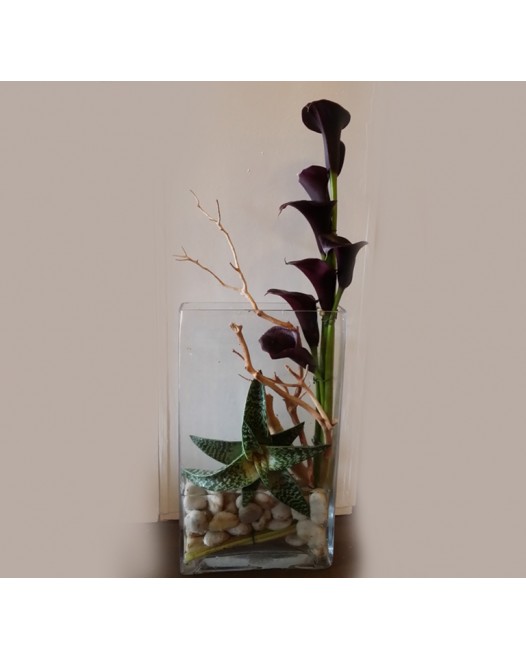 Tjflowers 0313
