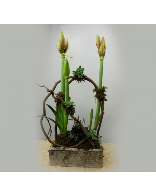 Tjflowers 0314
