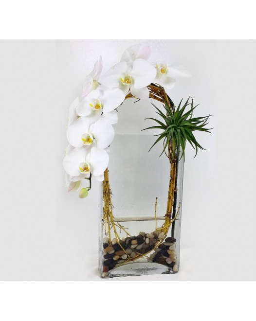 Tjflowers 0318