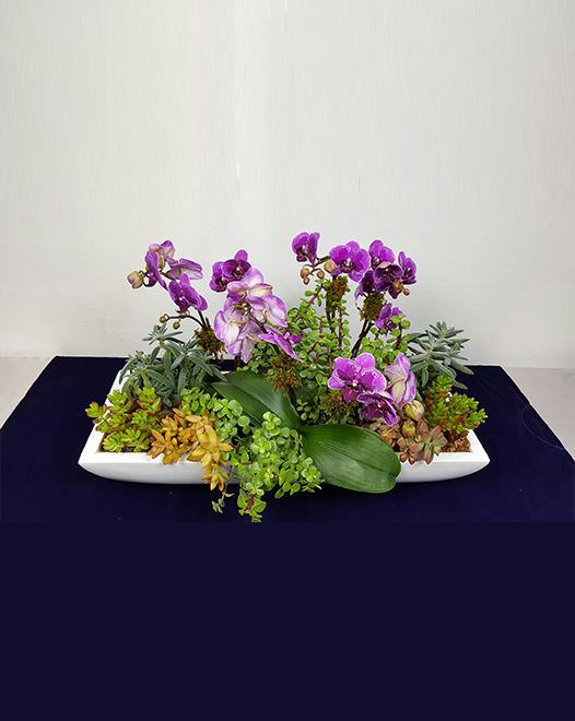 Tjflowers 0355