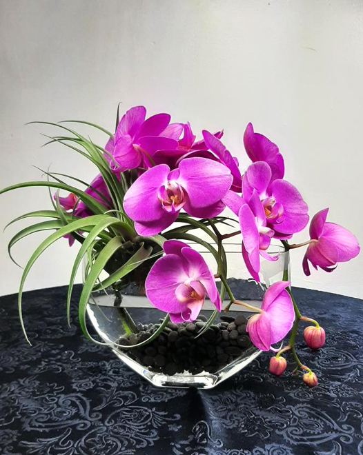 TJFlowers_VD003 Pink Orchids