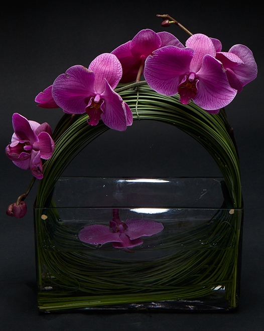 TJFlowers 0030