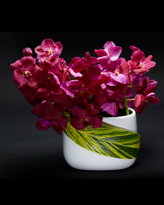 TJFlowers 0031