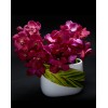 TJFlowers 0031
